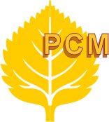 Поздравляем с Днем молодежи!