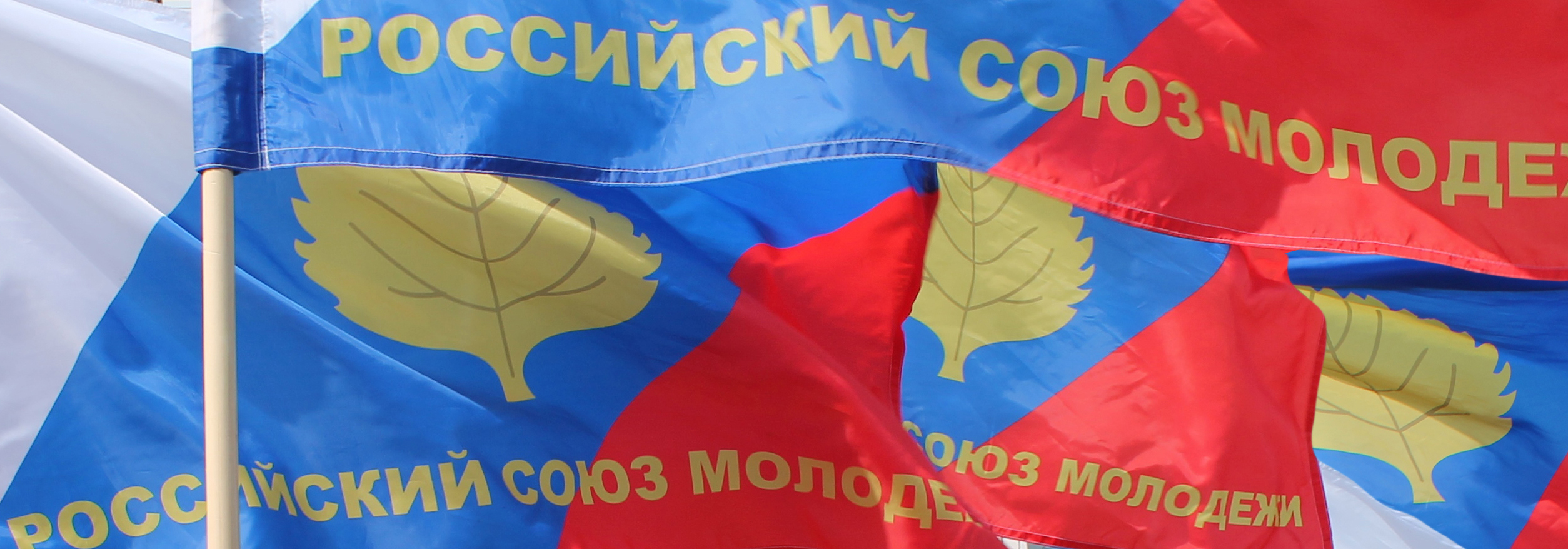 Что такое российский союз молодежи. Смотреть фото Что такое российский союз молодежи. Смотреть картинку Что такое российский союз молодежи. Картинка про Что такое российский союз молодежи. Фото Что такое российский союз молодежи