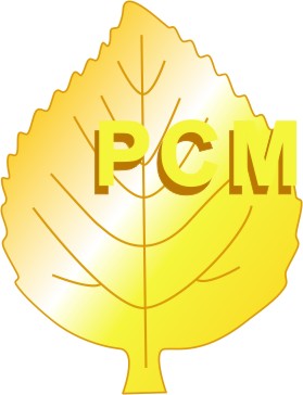 В День конституции РФ РСМ проводит патриотическую акцию «Мы – граждане России!»

